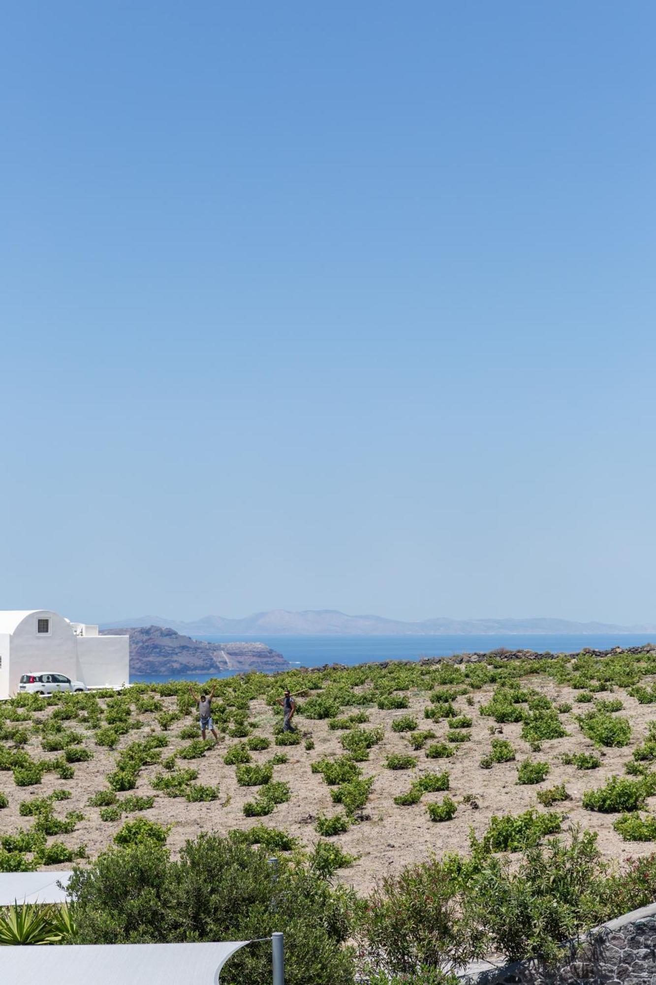 Soil Of Sun Luxury Villas Μεγαλοχώρι Εξωτερικό φωτογραφία