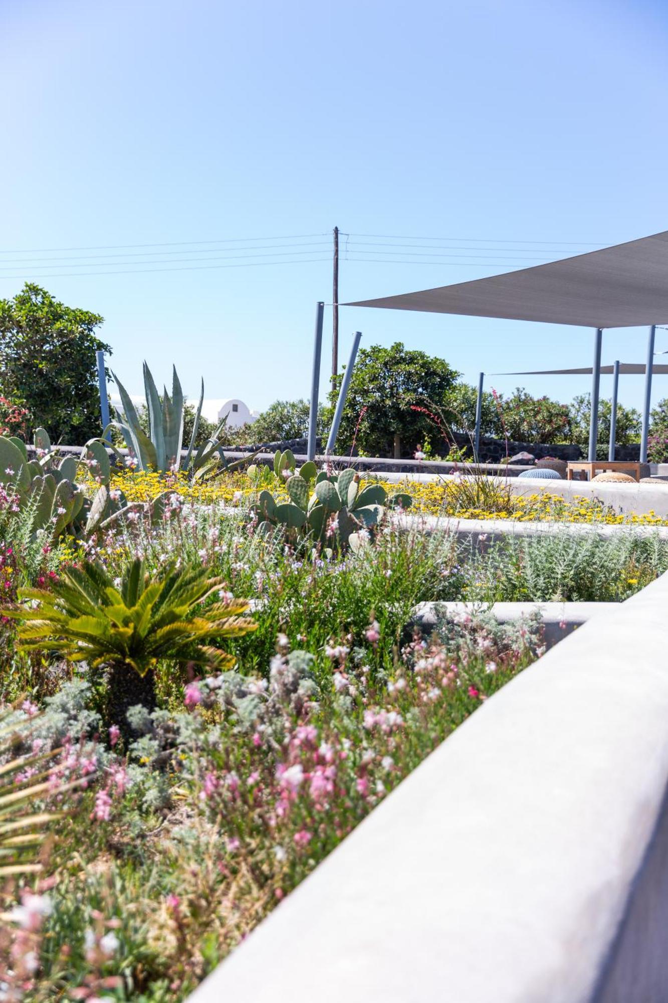 Soil Of Sun Luxury Villas Μεγαλοχώρι Εξωτερικό φωτογραφία